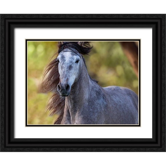 Sturgeon, Ozana 32x25 Black Ornate Wood Framed with Double Matting Museum Art Print Titled - Horse in the Field I