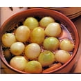 thumbnail image 1 of Stuttgarter Pickle Riesen Yellow Onion Sets - 75 Bulbs - Sweet Taste, 1 of 1