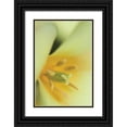 thumbnail image 1 of Styber, Dana 11x14 Black Ornate Wood Framed with Double Matting Museum Art Print Titled - Yellow Burst II, 1 of 4