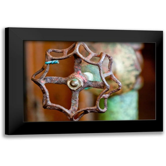 Styber, Dana 14x11 Black Modern Framed Museum Art Print Titled - Open and Shut