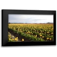 thumbnail image 1 of Styber, Dana 14x11 Black Modern Framed Museum Art Print Titled - Tulips at Sunset V, 1 of 5