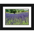 thumbnail image 1 of Styber, Dana 14x11 Black Ornate Wood Framed with Double Matting Museum Art Print Titled - Lavender Field I, 1 of 4