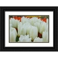 thumbnail image 1 of Styber, Dana 14x11 Black Ornate Wood Framed with Double Matting Museum Art Print Titled - White Tulips II, 1 of 4