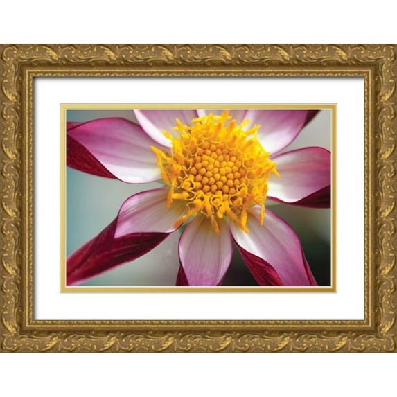 Styber, Dana 14x11 Gold Ornate Wood Framed with Double Matting Museum Art Print Titled - Stardust I
