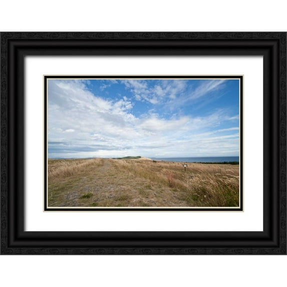 Styber, Dana 18x13 Black Ornate Wood Framed with Double Matting Museum Art Print Titled - Bluff Path