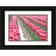 thumbnail image 1 of Styber, Dana 18x13 Black Ornate Wood Framed with Double Matting Museum Art Print Titled - Rainy Tulip Field, 1 of 4