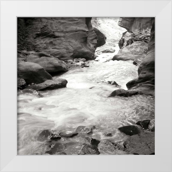 Styber, Dana 20x20 White Modern Wood Framed Museum Art Print Titled - Box Canyon III