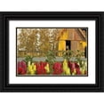 thumbnail image 1 of Styber, Dana 24x17 Black Ornate Wood Framed with Double Matting Museum Art Print Titled - Snapdragons Barn II, 1 of 4