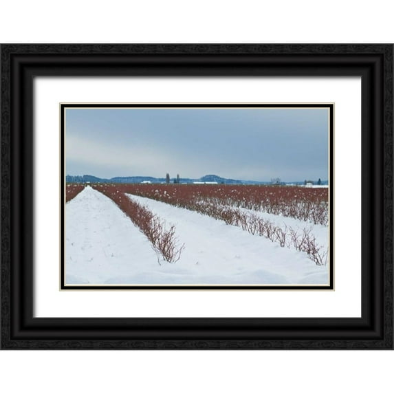 Styber, Dana 32x23 Black Ornate Wood Framed with Double Matting Museum Art Print Titled - Berries Under Snow II