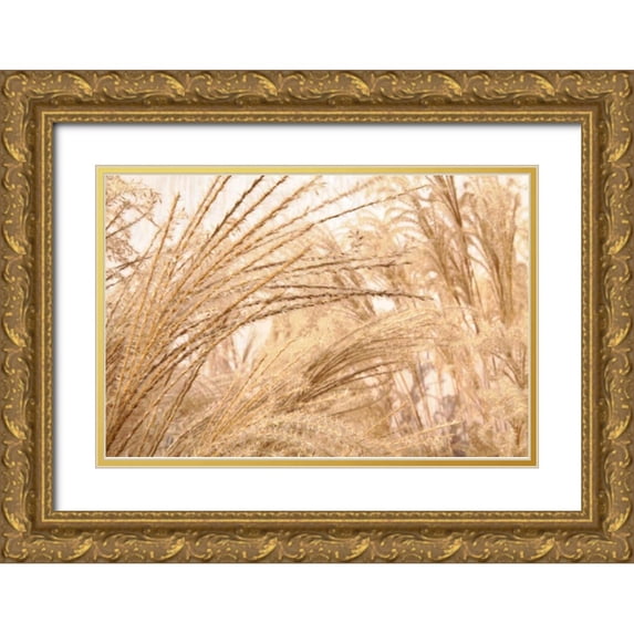 Styber, Dana 32x23 Gold Ornate Wood Framed with Double Matting Museum Art Print Titled - Blowing Grass II