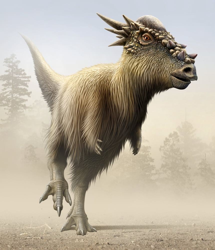 Stygimoloch a genus of pachycephalosaurid from the Cretaceous period Canvas Art - Mohamad HaghaniStocktrek Images (14 x 16)