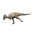 thumbnail image 1 of Stygimoloch is a pachycephalosaurid dinosaur Poster Print, 1 of 2