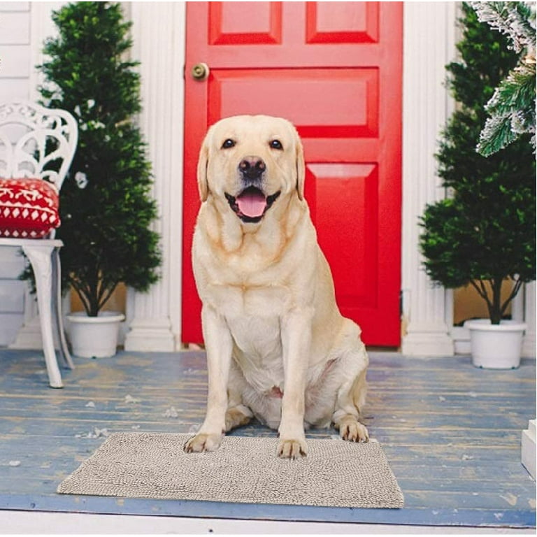 Absorbent rug for hot sale dogs