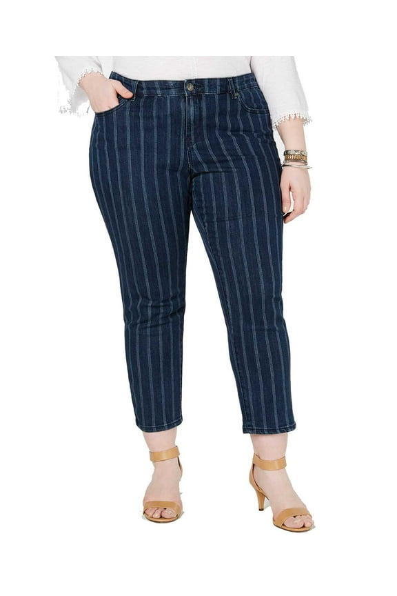 Womens Striped Ankle Slim Fit Jeans, Blue, Plus Size, 20W