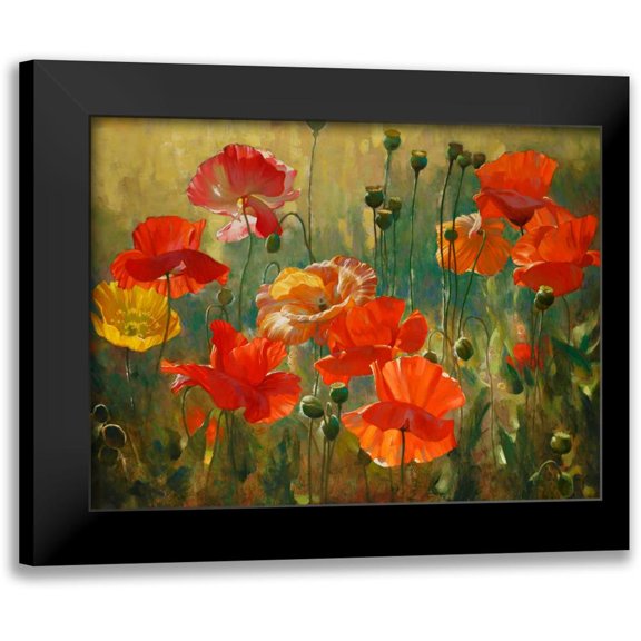 Styles, Emma 14x12 Black Modern Framed Museum Art Print Titled - Poppy Fields