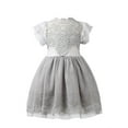 thumbnail image 1 of StylesILove Victorian Lace Princess Flower Girl Dress (1-2 Years, Grey), 1 of 3