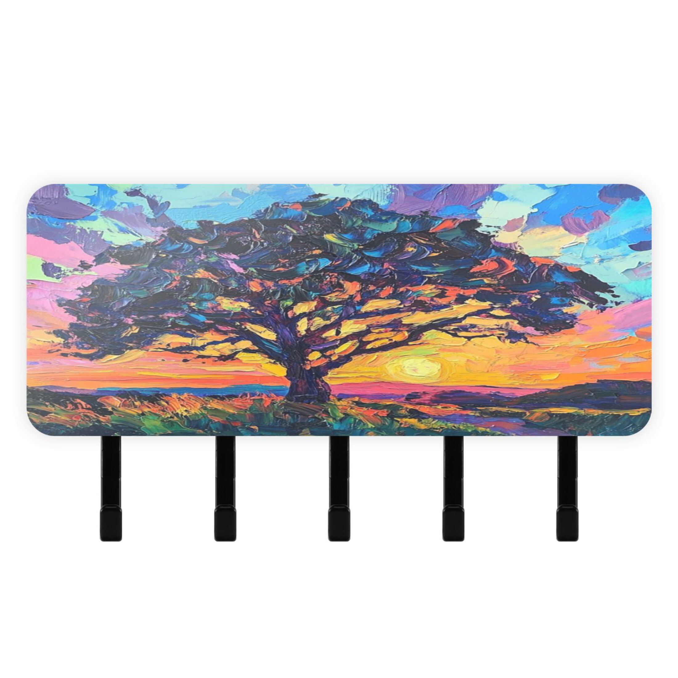 Stylish Acrylic Key Holder Wall Mount small shelf with hooks Decorative ...