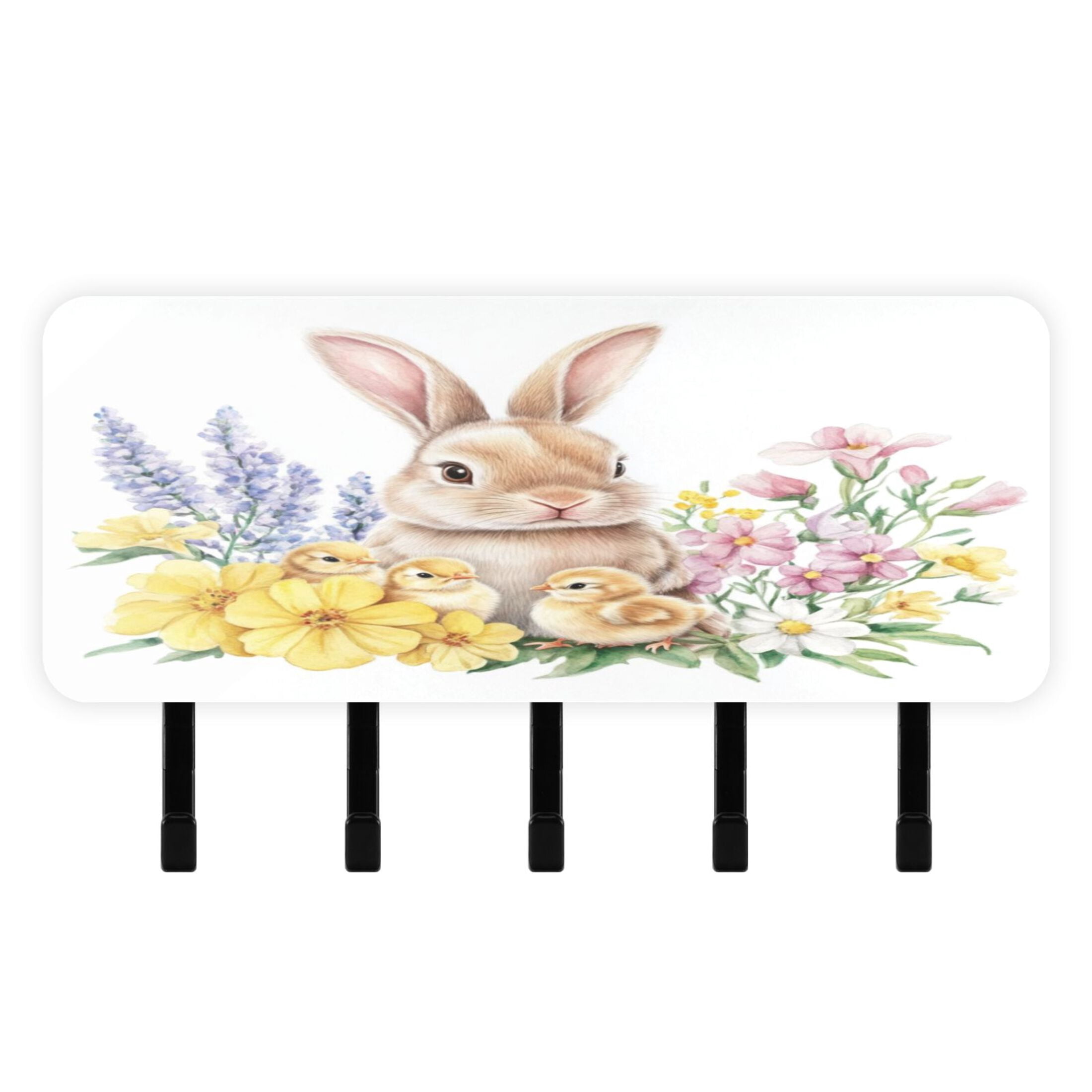 Easter Mount Stylish Acrylic Key Holder Wall Mount small shelf with hooks Decorative ...