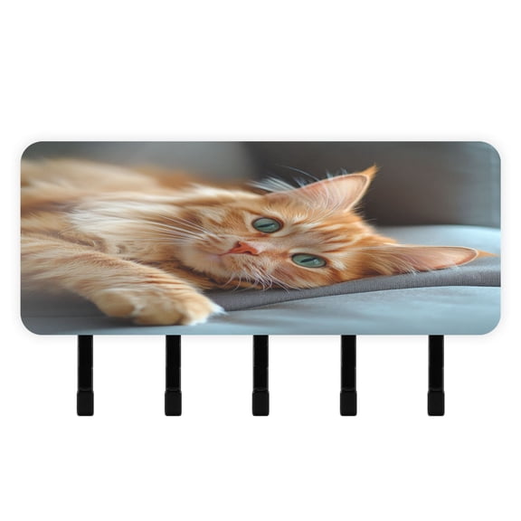 Stylish Acrylic Key Holder Wall Mount small shelf with hooks Decorative & Functional for Home Organization Orange Cat Lying on Sofa