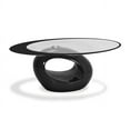 Stylish Black Oval Shape Coffee Table by Fab Glass and Mirror