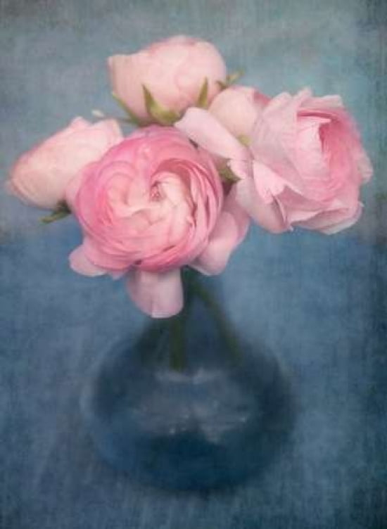Stylish Collection Canvas Art - Cora Niele (18 x 24)