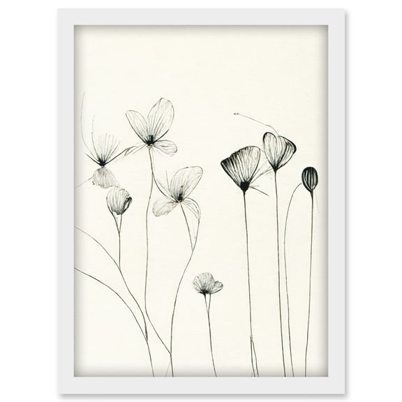 Stylish Flower Illustration Line Drawing With Black Ink Artwork Framed Wall Art Print A4