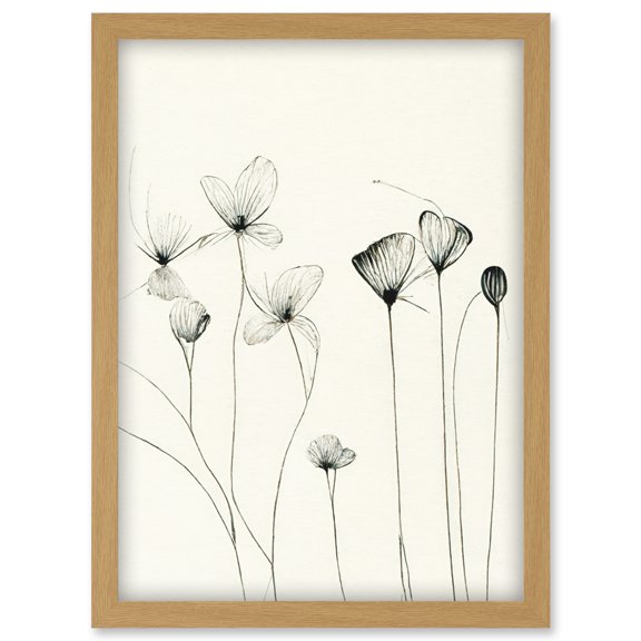 Stylish Flower Illustration Line Drawing With Black Ink Artwork Framed Wall Art Print A4