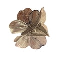thumbnail image 1 of Stylish Flower Rings with Elegant Waterfall Fishtail and Glittering Floral Decoration for Trendy Wome Casual Wear, 1 of 19