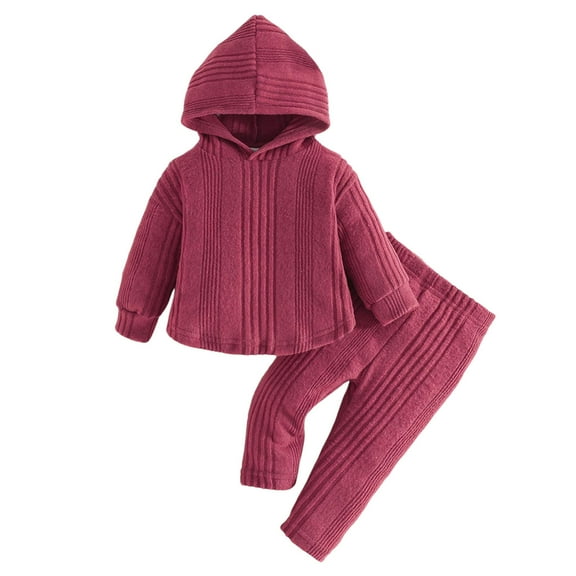 Stylish Girls Long Sleeve Printed Hoodie and Pants Outfit Set Cozy Warm Pullover Tops and Bottoms Casual Wear Toddler Child Kids Fashion Apparel Two Piece Ensemble