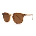 thumbnail image 1 of Stylish Inset Lens Horn Rim Retro Plastic Sunglasses Beige Brown, 1 of 4