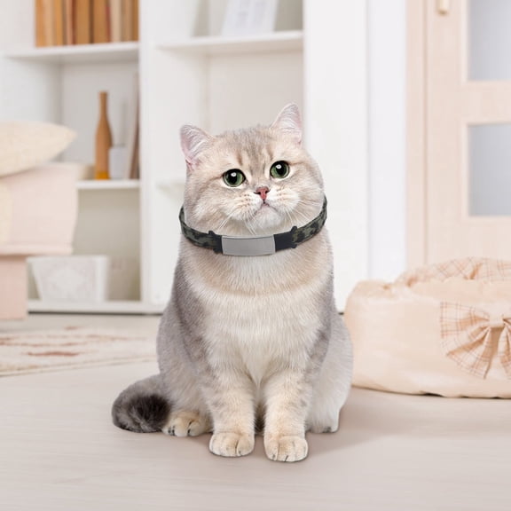 Stylish Leopard Print Cat Collar with - Fashionable Pet Bow Tie Accessory for and Cats