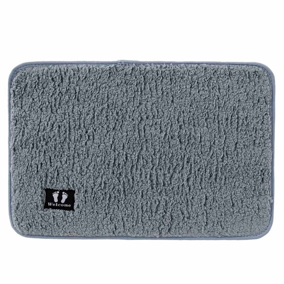 Stylish Multi-Utility Floor Door Mat 40x60 CM |