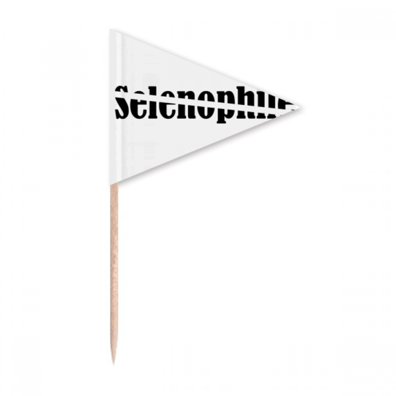 Stylish Word Selenophile Art Deco Fashion Toothpick Triangle Cupcake Toppers Flag