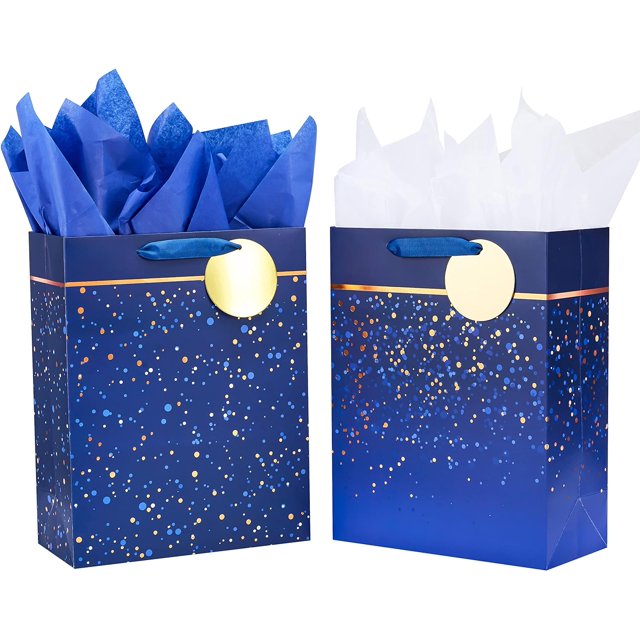 Stylish and Spacious 13 Large Gift Bags for Men 2 Pack with Tissue