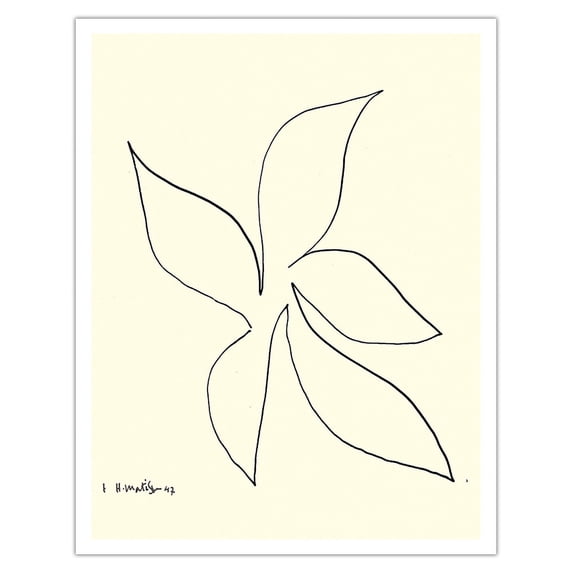 Stylized Hyacinth - Ink on Paper by Henri Matisse c.1947 - Fine Art Matte Paper Print (Unframed) 11x14in