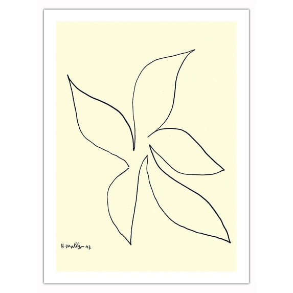 Stylized Hyacinth - Ink on Paper by Henri Matisse c.1947 - Fine Art Matte Paper Print (Unframed) 24x32in