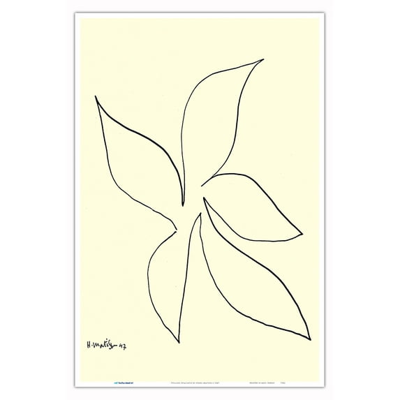 Stylized Hyacinth - Ink on Paper by Henri Matisse c.1947 - Master Art Print (Unframed) 12in x 18in