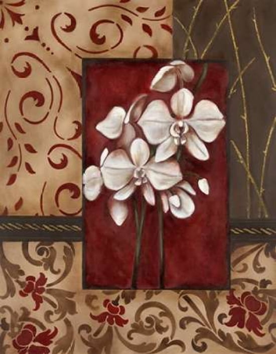 Stylized Orchid II Canvas Art - Carol Robinson (22 x 28)