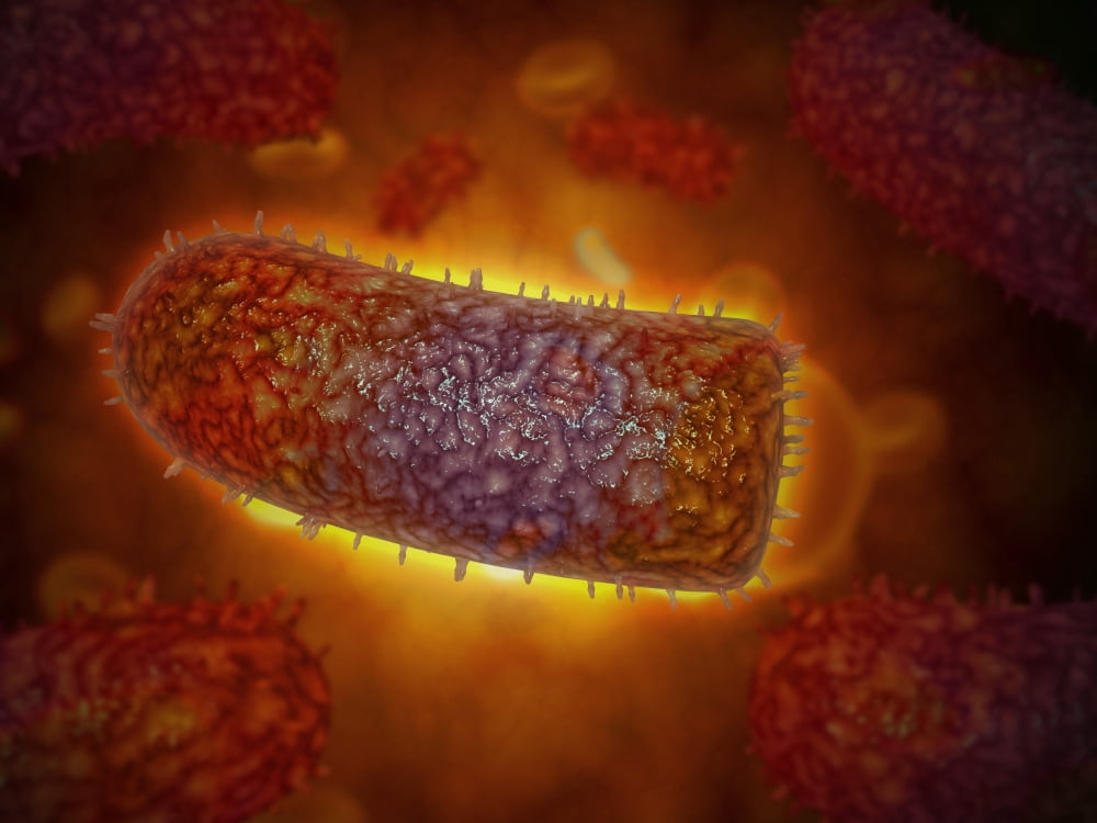 Stylized rabies virus particles Canvas Art - Stocktrek Images (33 x 25)