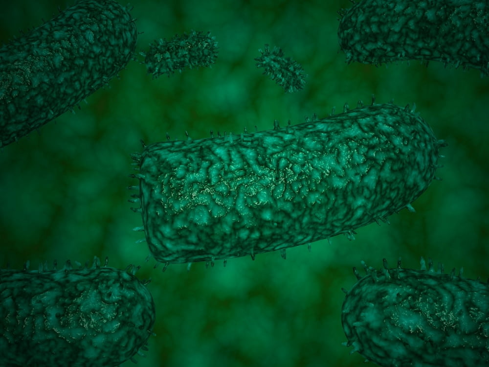Stylized rabies virus particles Canvas Art - Stocktrek Images (33 x 25)