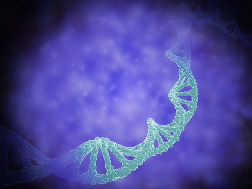 Stylized view of strands of human DNA Canvas Art - Stocktrek Images (33 x 25)