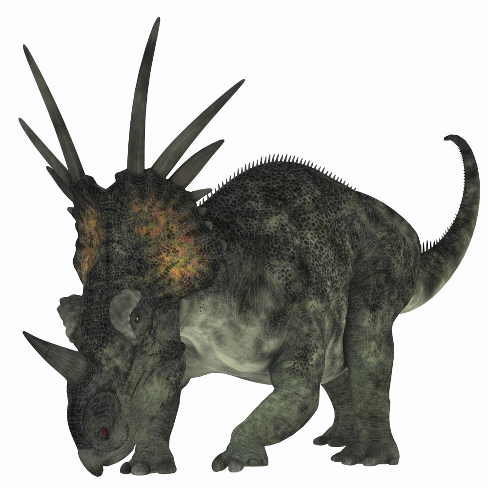 Styracosaurus a herbivorous ceratopsian dinosaur Canvas Art - Corey FordStocktrek Images (29 x 29)