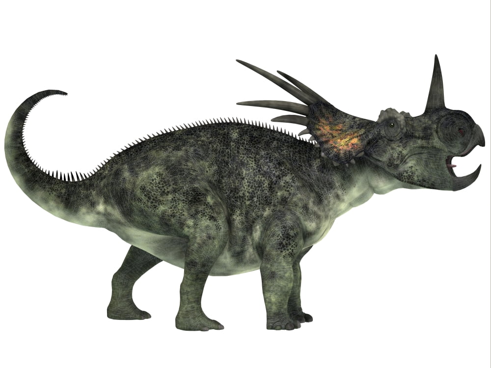 Styracosaurus a herbivorous ceratopsian dinosaur Canvas Art - Corey FordStocktrek Images (33 x 25)
