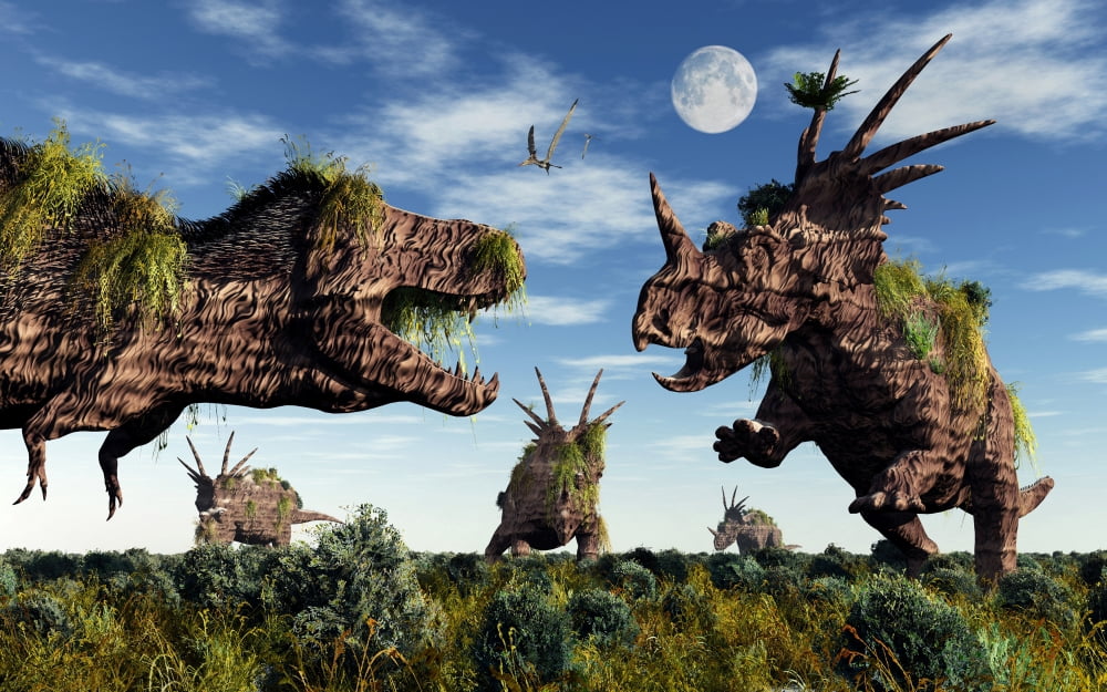 Styracosaurus and Tyrannosaurus Rex dinosaur sculptures Canvas Art - Mark StevensonStocktrek Images (36 x 23)