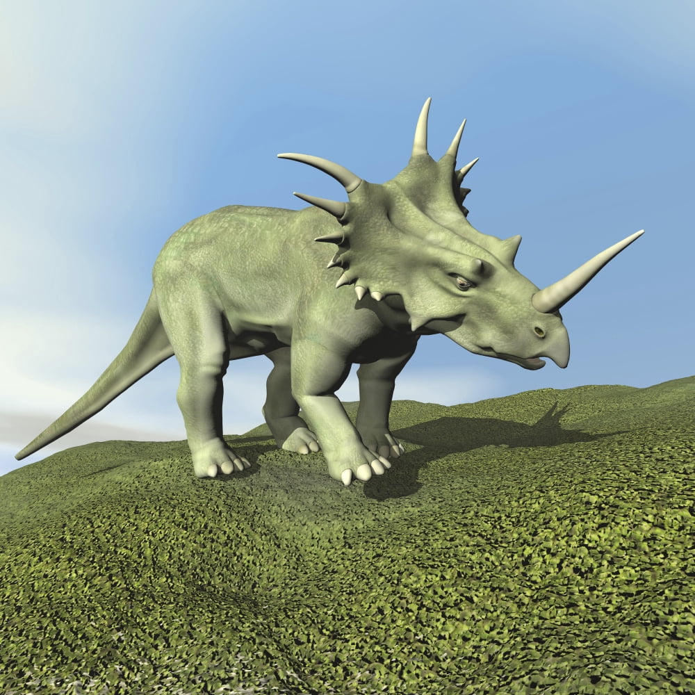 Styracosaurus dinosaur Canvas Art - Elena DuvernayStocktrek Images (29 x 29)