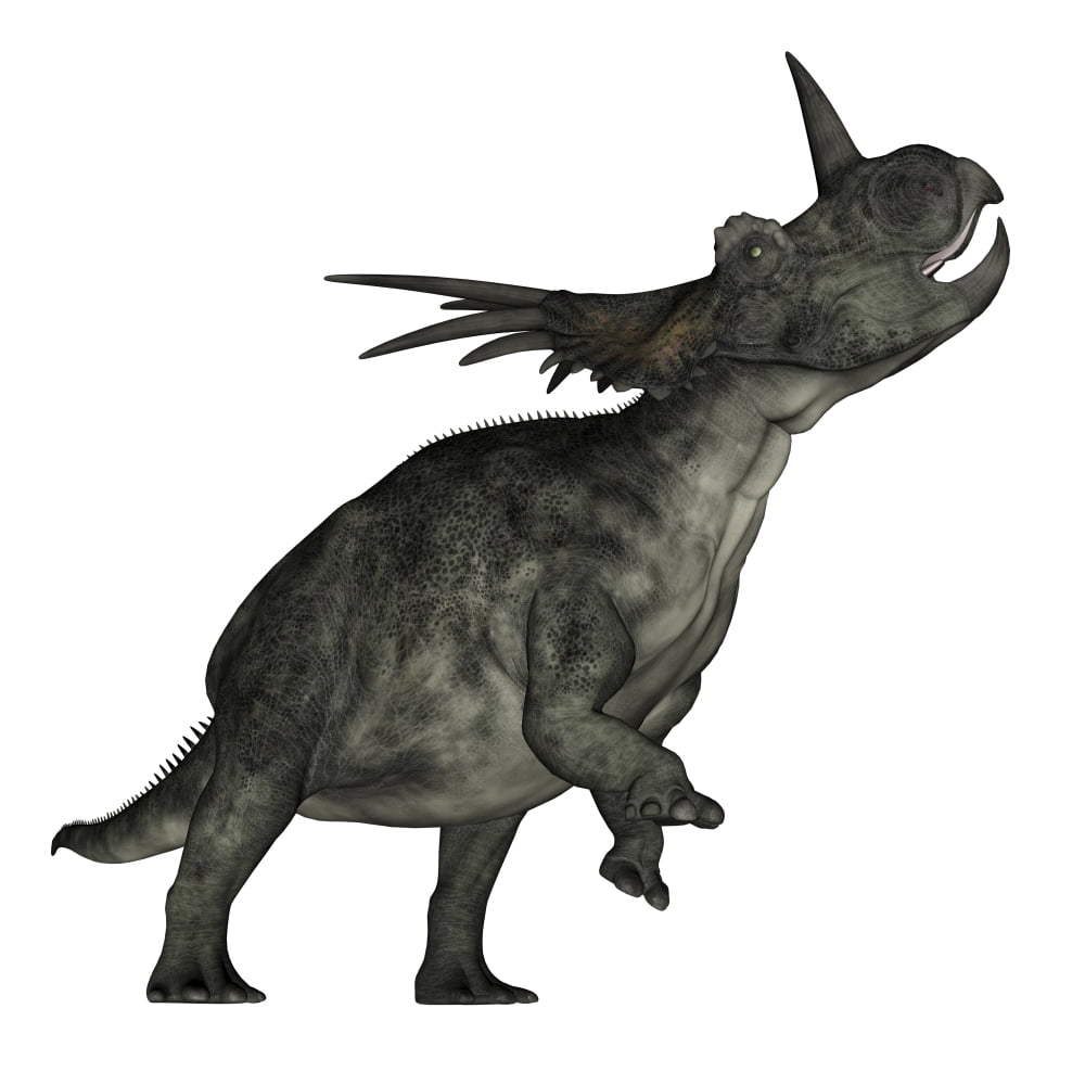 Styracosaurus dinosaur roaring Canvas Art - Elena DuvernayStocktrek Images (29 x 29)