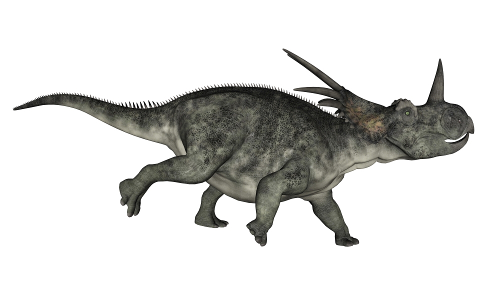 Styracosaurus dinosaur running Canvas Art - Elena DuvernayStocktrek Images (19 x 11)