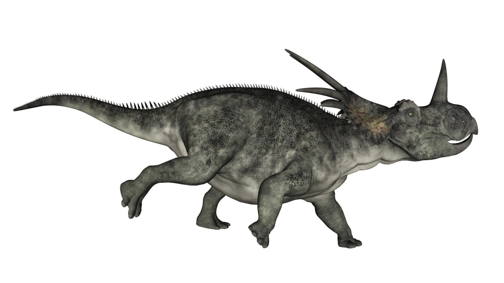 Styracosaurus dinosaur running Canvas Art - Elena DuvernayStocktrek Images (38 x 21)