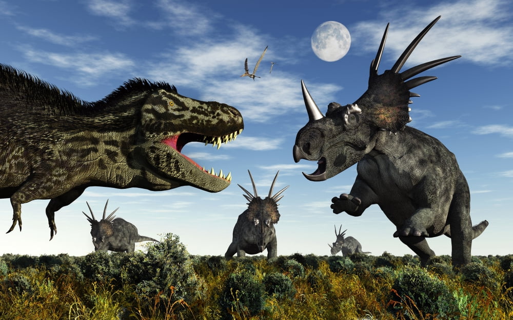Styracosaurus dinosaurs confront a Tyrannosaurus Rex Canvas Art - Mark StevensonStocktrek Images (18 x 12)