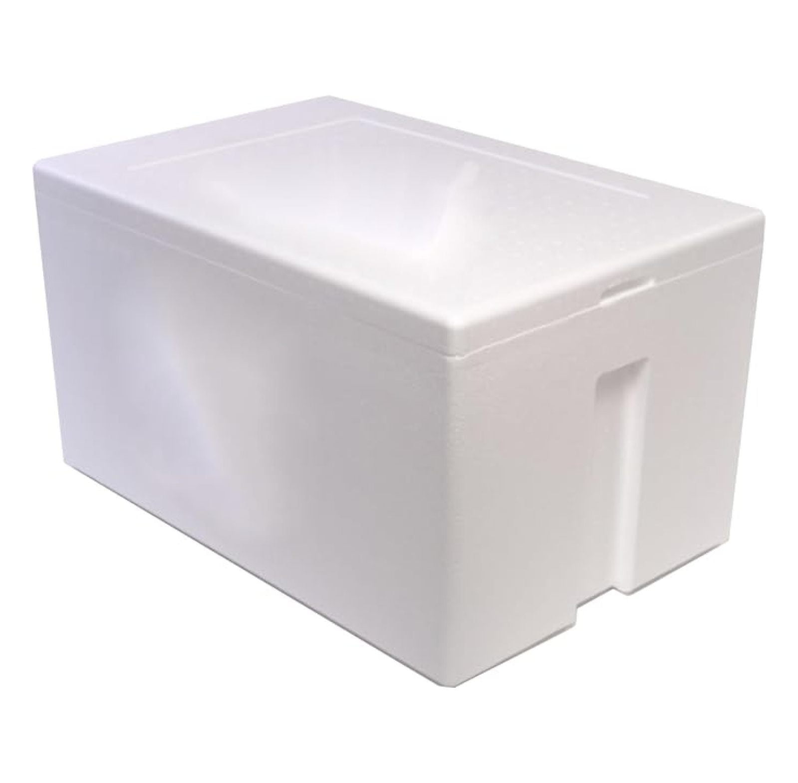 Styrofoam Cooler, Ice Chest (47qt), Inside: 21 x 13 x 11 (inches) Outside: 24 x 16 x 13 (inches)